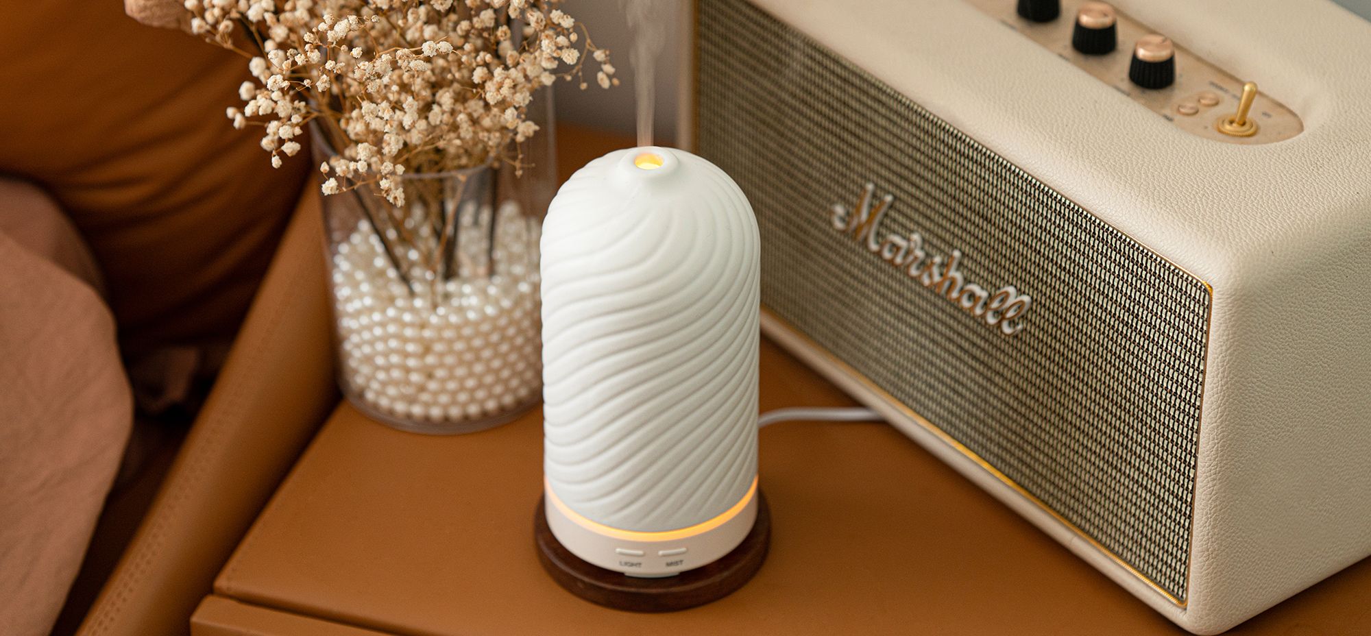 Нет коллекции